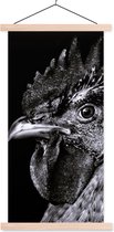 Porte-affiche avec affiche - Affiche scolaire - Coq - Vogel - Zwart - Wit - 60x120 cm - Lattes vierges