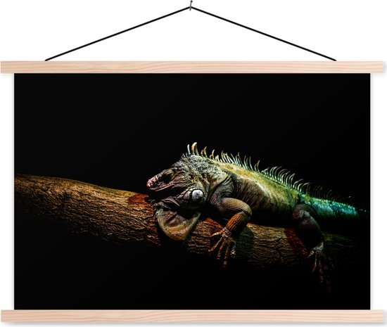 Portrait d'un iguane sur fond noir affiche textielposter lattes vierges 150x100 cm - Tirage photo sur plaque scolaire (décoration murale salon / chambre)