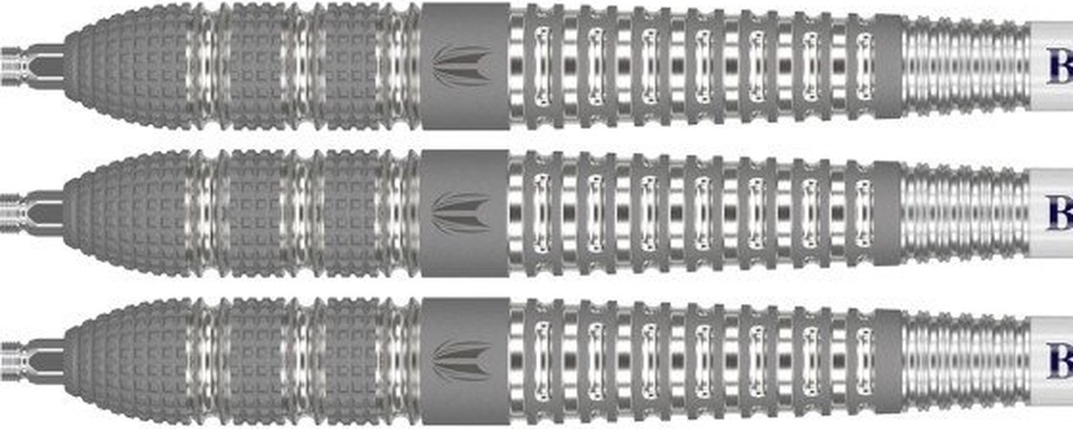 Target Raymond Van Barneveld Barney25 Fléchettes en acier à pointe suisse, 21g