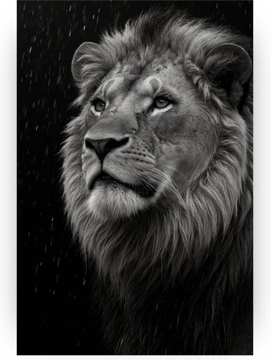 Leeuw in de regen - Leeuwen schilderij op canvas - Schilderijen zwart wit - Landelijk schilderij - Canvas - Wanddecoratie - 100 x 150 cm 18mm