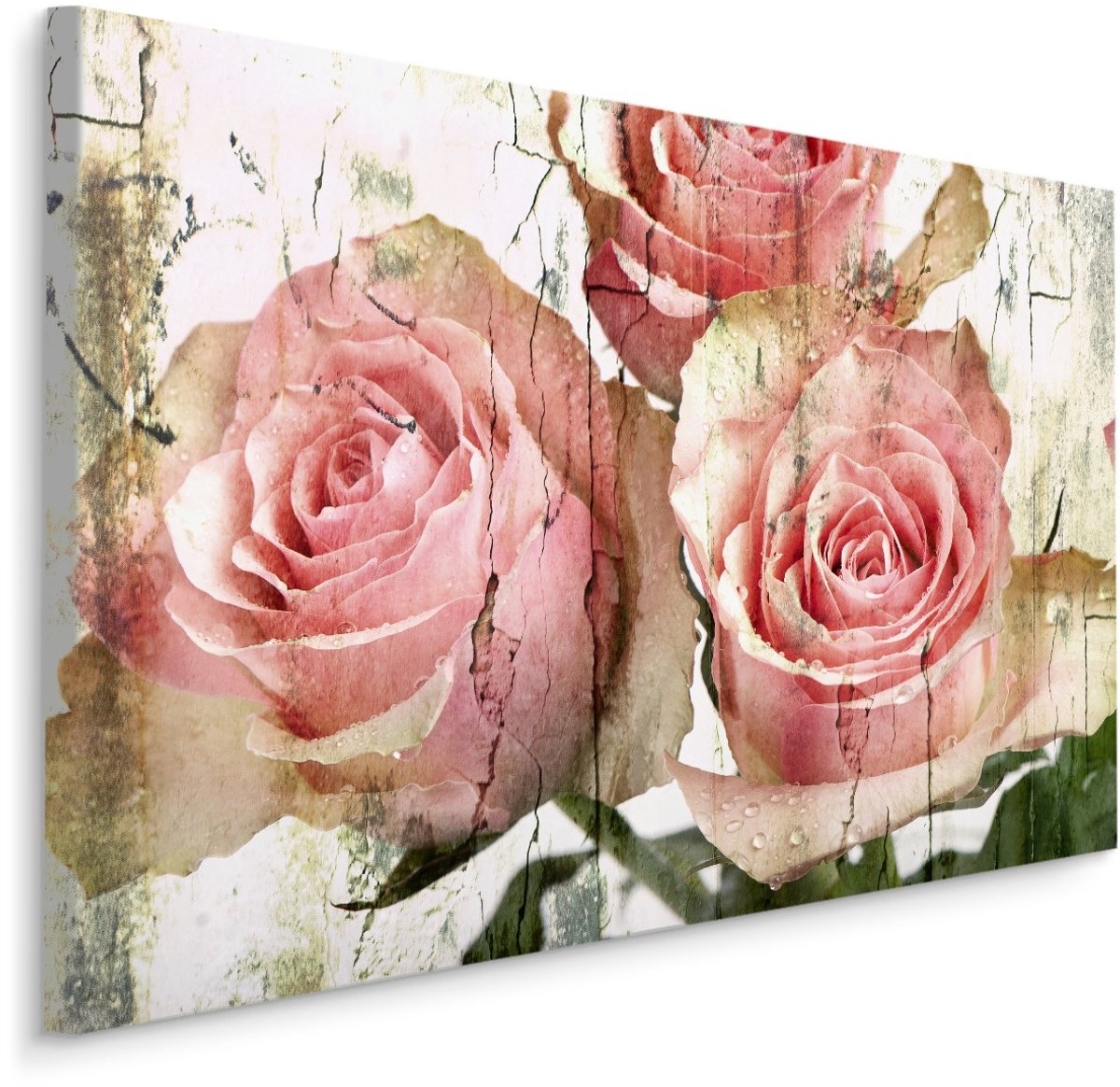 karo-art Schilderij - Prachtige Roze Rozen, Vintage afbeelding, Premium Print Multikleur