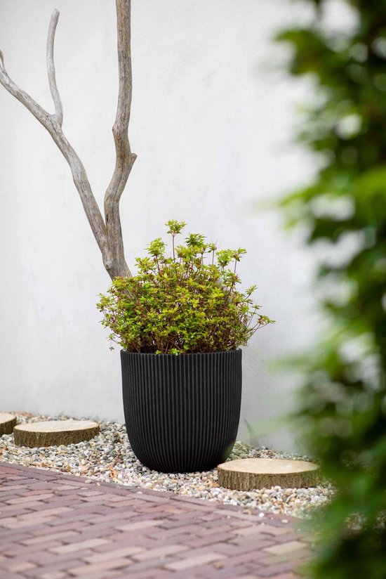 Zwarte, geribbelde bolvormige bloempot met een struik, in een tuin setting.