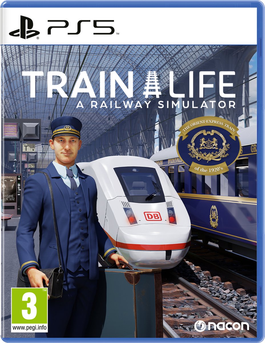 Train Life: A Railway Simulator - PS5 (Europees)