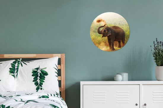 Wall Circle - Wall Circle Indoor - Éléphant de Nettoyage - 30x30 cm - Décoration murale - Peintures Ronds