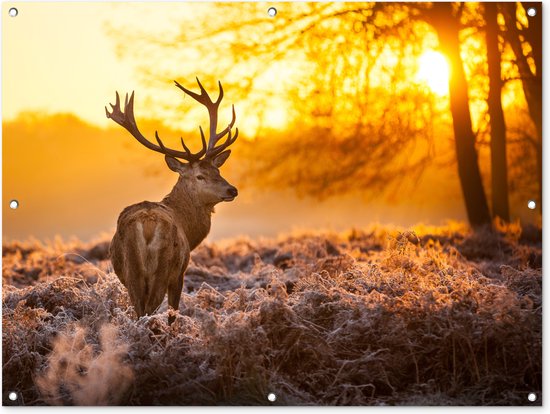 Foto: Tuinposter tuindoek tuinposters buiten hert dieren zonsondergang winter heide natuur 120x90 cm tuin