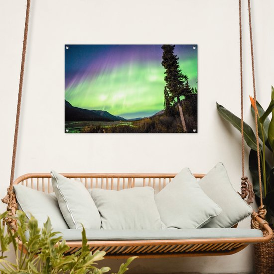 Posters de jardin Aurores Boréales - Arbre - Berg - Nature - 90x60 cm