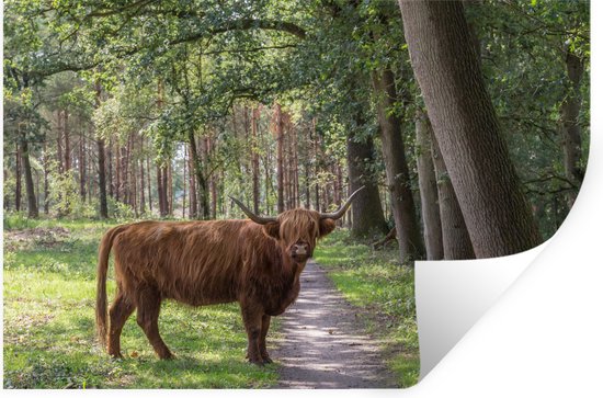 Muurstickers - Sticker Folie - Bos - Schotse hooglander - Licht - 60x40 cm - Plakfolie - Muurstickers Kinderkamer - Zelfklevend Behang - Zelfklevend behangpapier - Stickerfolie