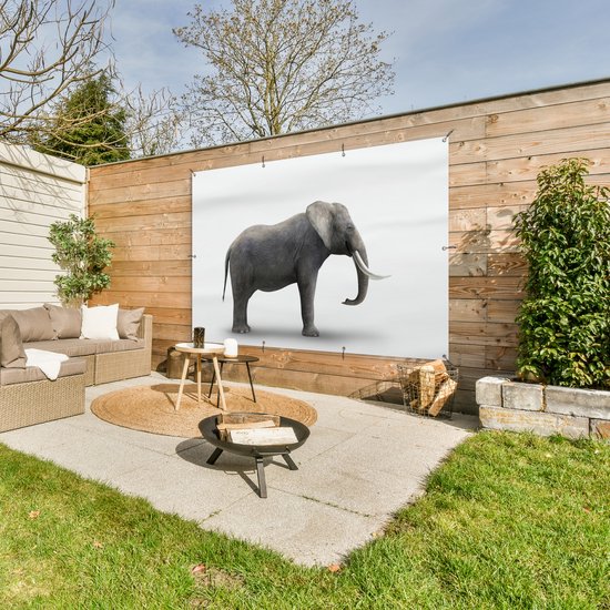 Décoration murale Eléphant sur fond blanc - 180x120 cm - Poster jardin - Toile jardin