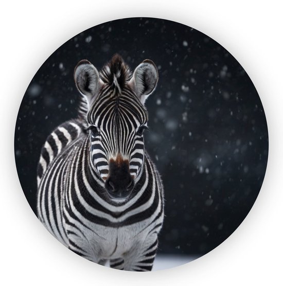 Zebra - Zwart wit rond schilderij - Wandcirkel wilde dieren - Muurdecoratie kinderkamer - Wandpaneel - Slaapkamer wanddecoratie - 90 x 90 cm 3mm