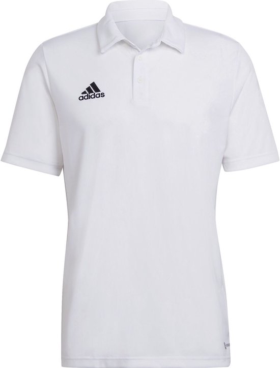 Polo Adidas Sport Ent22 Blanc - Sportswear - Adulte