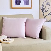 Blumtal Set de 2 Taies d'oreiller - Velours - 45 x 45 cm - Vieux Pink - Fermeture éclair cachée - Housse de coussin pour oreillers décoratifs