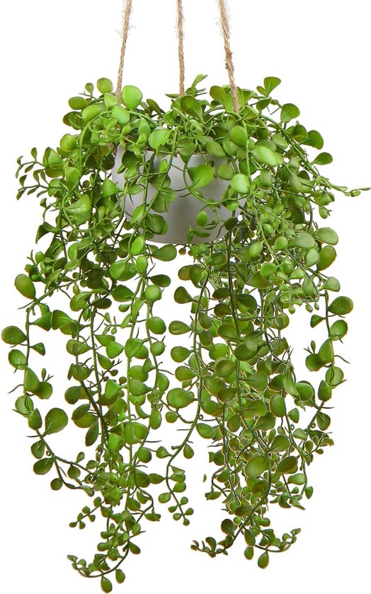 35,5 cm kunstplanten, kunstmatige vetplanten, hangende planten, kunstbloemen, kunstplanten voor wanddecoratie binnen en buiten