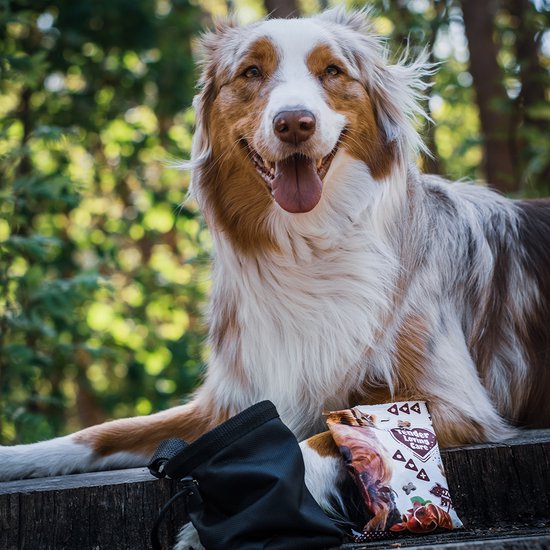 TLC Soft snack Foie 100g