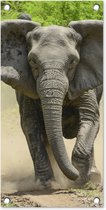 Tuinposter Rennende olifant - 30x60 cm - Tuindoek - Buitenposter