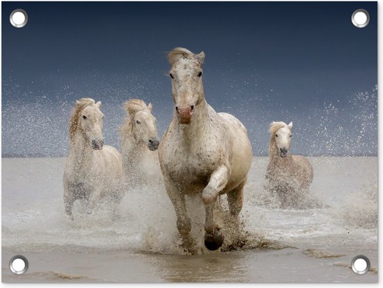 Paarden - Water - Modder