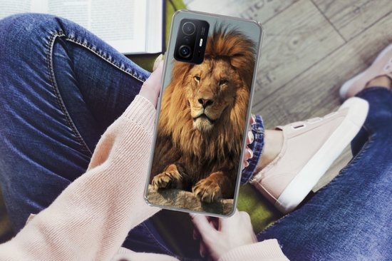 Telefoonhoesje Geschikt voor Xiaomi 11T Pro hoesje - Leeuw - Rots - Portret - Siliconen Telefoonhoesje Telefoonhoesje