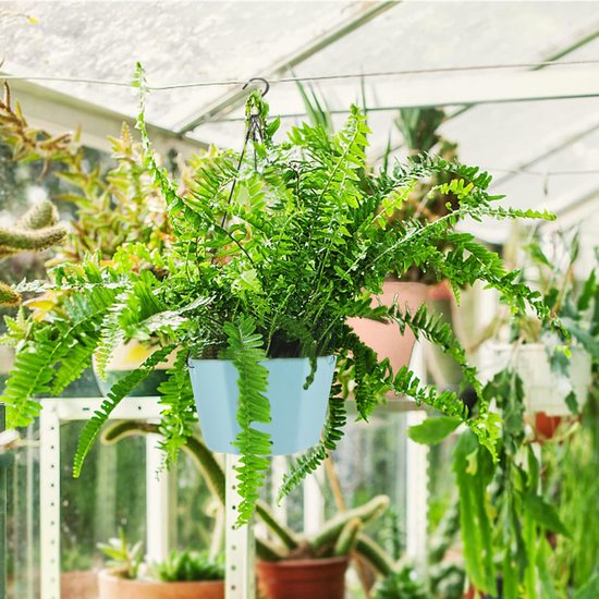 BESPORTBLE Rechthoekige Kunststof Plantenpot – 43,8 X 18,5 X 13,5 Cm – Voor Binnen En Buiten, Ideaal Voor Vetplanten, Orchideeën En Kruiden
