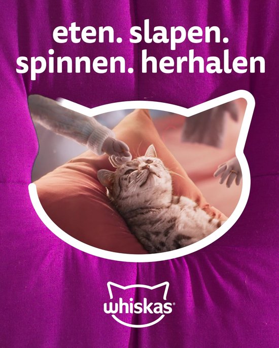 Whiskas Kattenbrokken - Adult 1+ - Adult - Kip - doos 5x800g