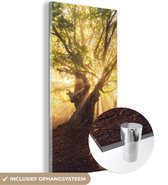 MuchoWow® Glasschilderij 40x80 cm - Schilderij acrylglas - Boom - Bos - Zon - Foto op glas - Schilderijen