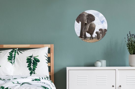 Wall Circle - Wall Circle Indoor - Troupeau d'éléphants - ⌀ 30 cm - Décoration murale - Peintures Ronds