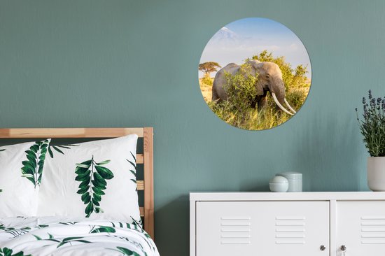 Cercle Mural - Cercle Mural Intérieur - Éléphant se cache derrière un buisson - ⌀ 60 cm - Décoration murale - Peintures Ronds