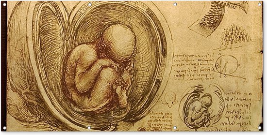Wanddecoratie buiten Baby in the womb - Leonardo da Vinci - 160x80 cm - Tuindoek - Buitenposter