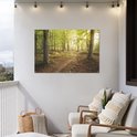Tuinposter van een bos met pad, hangend aan een witte muur. De zon schijnt door de bomen, met zitje op de voorgrond.