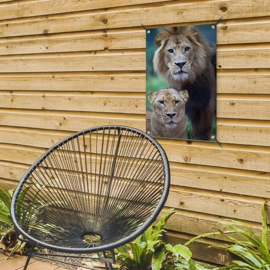 Poster Jardin Lion et Lionne 40x60 cm - petit - Toile de jardin / Toile d'extérieur / Peintures d'extérieur (décoration de jardin)