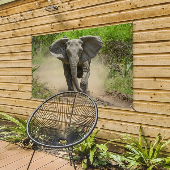 Affiche Running Elephant Garden 120x80 cm - Toile de jardin / Toile d'extérieur / Peintures d'extérieur (décoration de jardin)