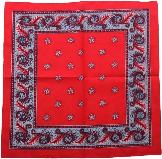 van mening zijn Adverteerder Monnik Boeren zakdoek rood kleine stippel 55 x 55 cm - HRBZ017 | bol.com