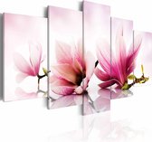 Schilderij - Magnolia: roze bloemen , 5 luik
