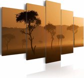 Schilderij - Mist over de Savanne, Afrika, 5luik , 2 maten , Wanddecoratie , Beige bruin