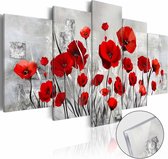 Afbeelding op acrylglas - Rode klaprozen, Rood/Grijs,   5luik