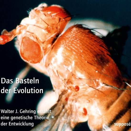 Das Basteln der Evolution - cover