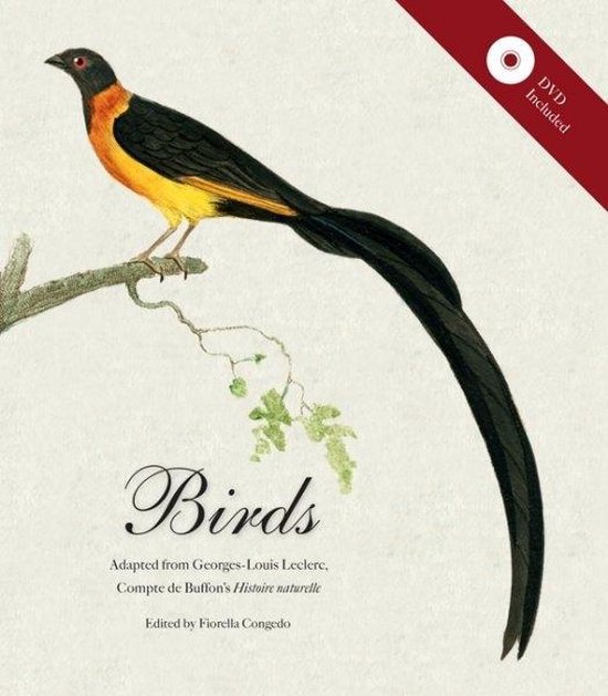 Birds - cover