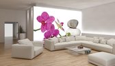 Orchid flowers wallcovering