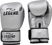 Legend Sports Gants de boxe Powerfit & Protect Silver Mt 08oz