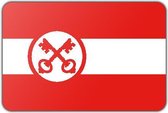 Vlag gemeente Leiden - 100 x 150 cm - Polyester