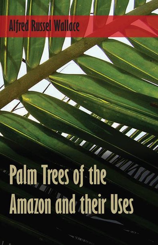 Palm Trees of the Amazon and their Uses (ebook), Alfred Russel Wallace