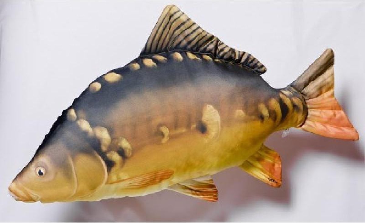 Coussin poisson - Carpe - Multicolore - Coussin modèle poisson - Grande  taille -... | bol