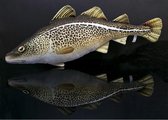 Kussen vis - Kabeljauw - Meerkleurig - Vismodel kussen - Groot formaat - Sierkussen - 75 cm