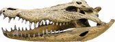 Nobby Aqua Deco Krokodil Schedel - Aquariumdecoratie - L - 47,5 x 20,5 x 16 cm