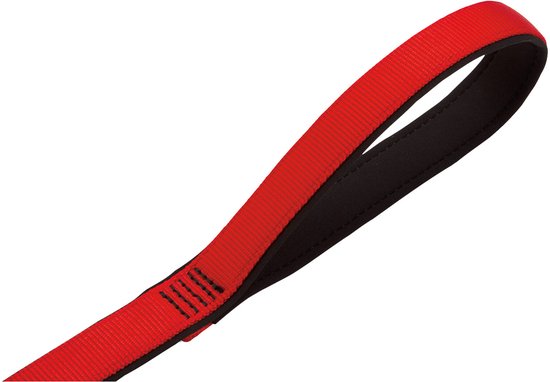 Detail van een rode hondenhalsband met zwarte voering en duidelijke stiksels.