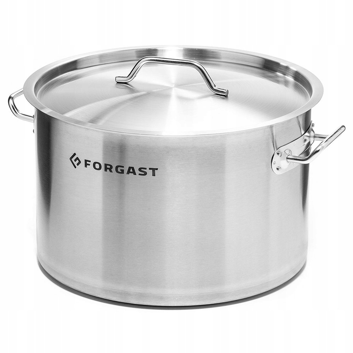 Forgast RVS Pan met Deksel 17L - Professioneel Gebruik