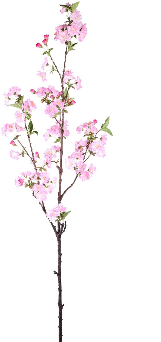 PTMD Kunstbloem Bloesem - 50x30x95 cm - Plastic - Roze