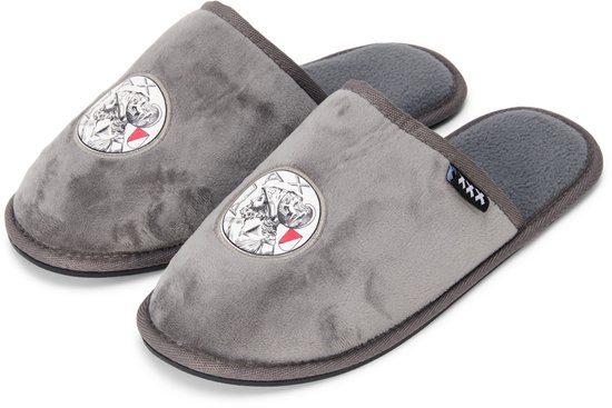 Ajax-pantoffel grijs