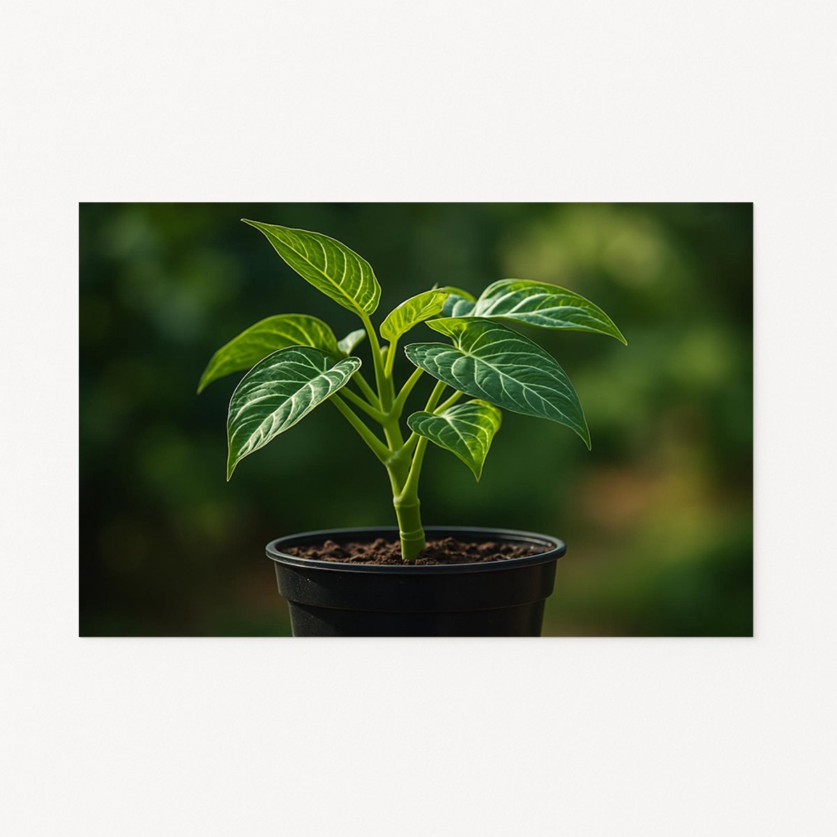 Plant wanddecoratie – muurdecoratie modern – retro poster – 70x50 cm