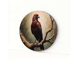 Roofvogel wandcirkel – wandkunst rond – aluminium – 100x100 cm
