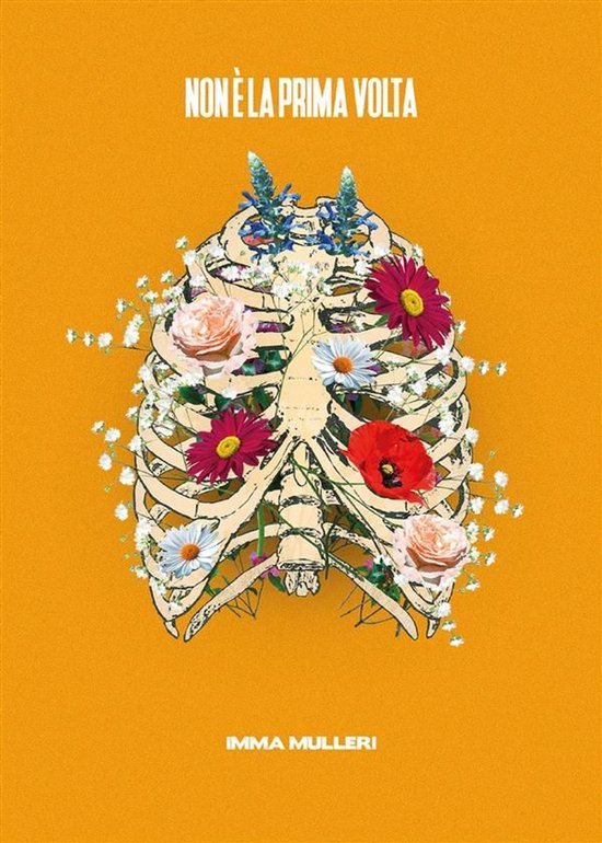 Non è la prima volta - cover