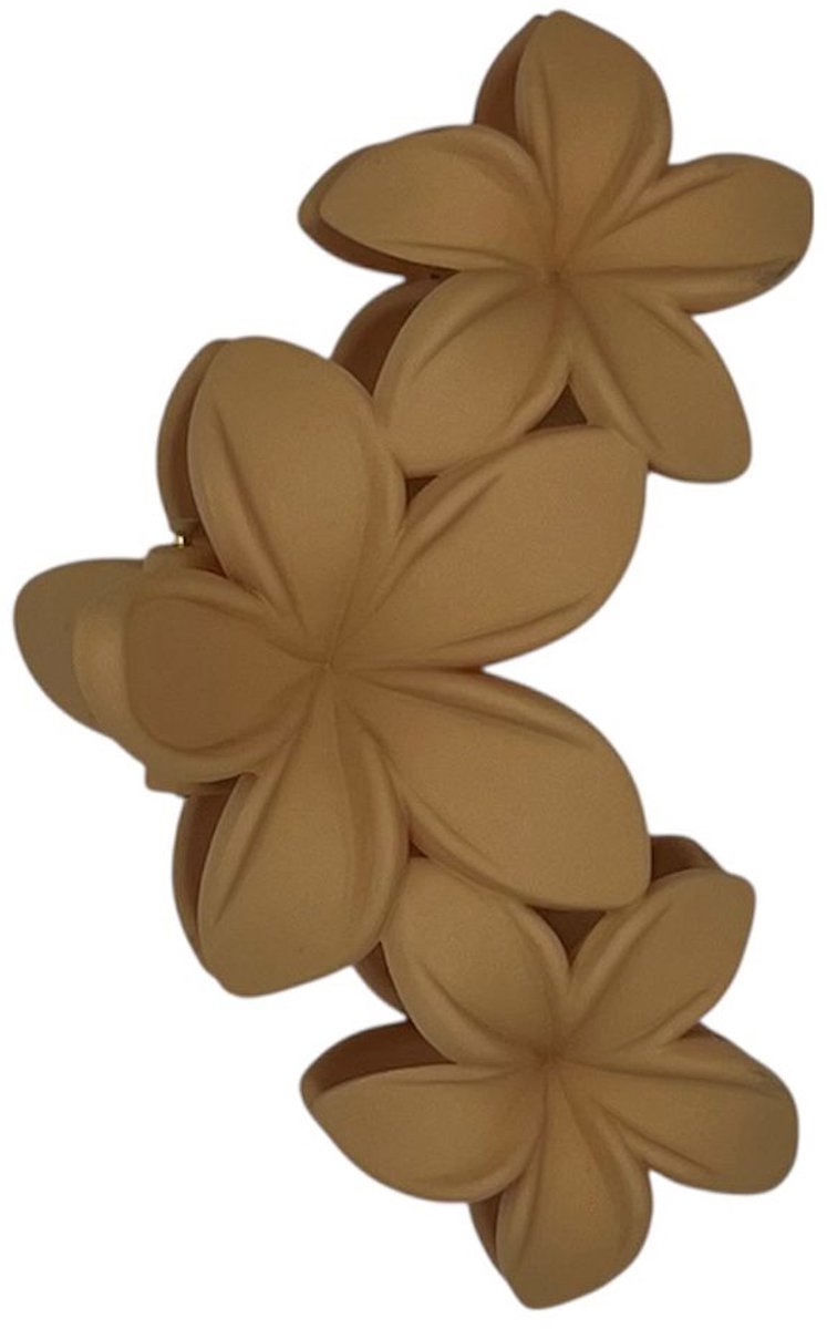 Haarklem - haarklauw - haarclip - zand/beige - meisjes - dames - bloemen